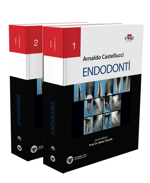 Endodonti 2 Cilt