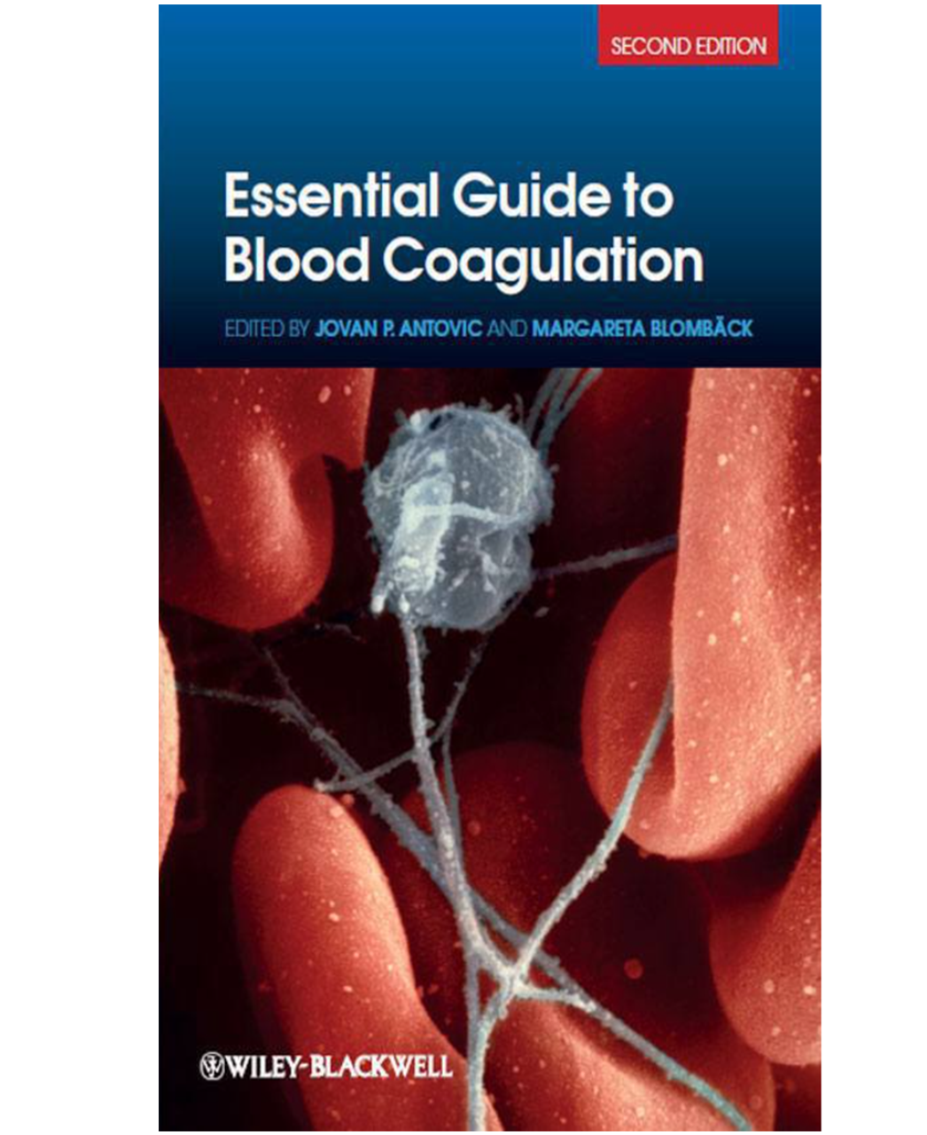 Essential Guide to Blood Coagulation