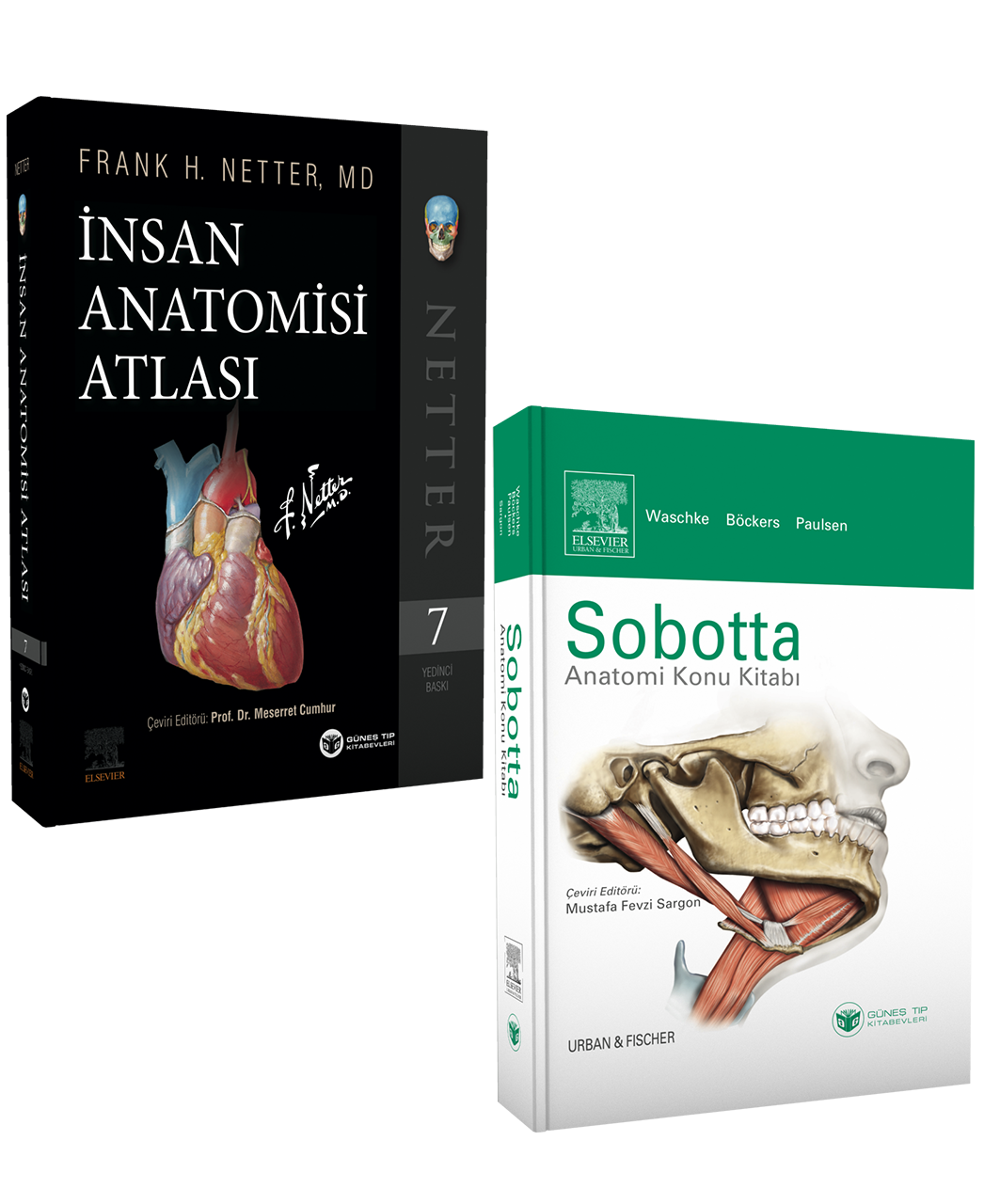 Netter İnsan Anatomi Atlası + Sobotta Anatomi Konu Kitabı