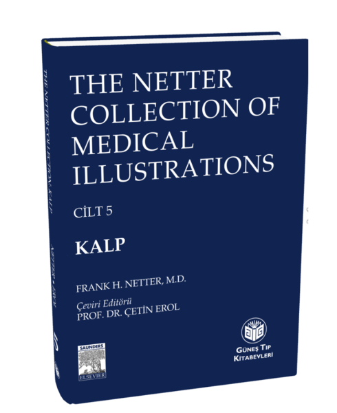 The Netter Collection of Medical Illustrations Kalp (CİLTLİ)