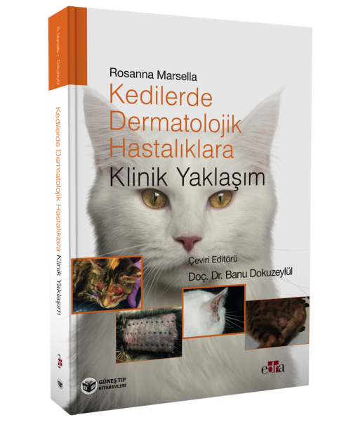 Kedilerde Dermatolojik Hastalıklara Klinik Yaklaşım