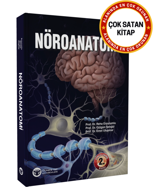 Nöroanatomi (Güncellenmiş 2. Baskı)