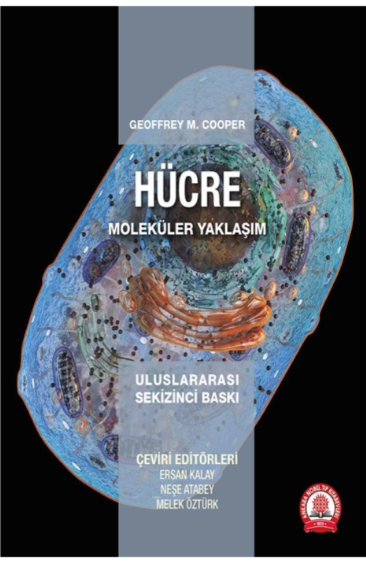 Hücre Moleküler Yaklaşım