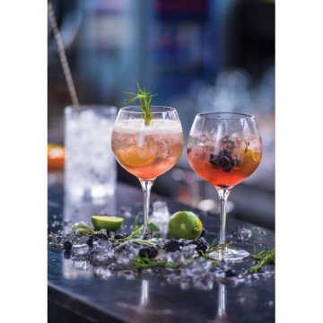 Paşabahçe 67085 Gin&Tonic Meşrubat Bardağı 6'lı