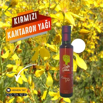 Zeytin Hanım Kırmızı Kantaron Yağı 250 ml (Polifenollü Zeytinyağında Çözünmüş)