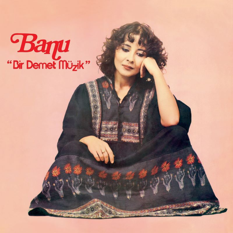 BANU (KIRBAĞ) - BİR DEMET MÜZİK (1981) - LP 2023 BASIM GATEFOLD SIFIR PLAK