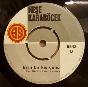 NEŞE KARABÖCEK - İNTİZAR / KARLI BİR KIŞ GÜNÜ - 7'' 45 DEVİR KAPAKSIZ 2.EL 45LİK PLAK