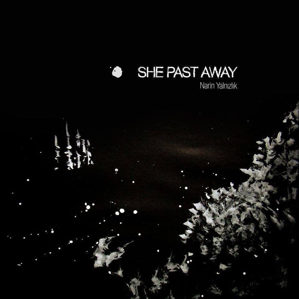 SHE PAST AWAY - NARİN YALNIZLIK (2015) - LP 2020 REISSUE SIFIR PLAK