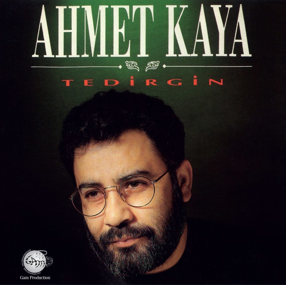 AHMET KAYA - TEDİRGİN (1993) - LP 2020 BASIM SIFIR PLAK