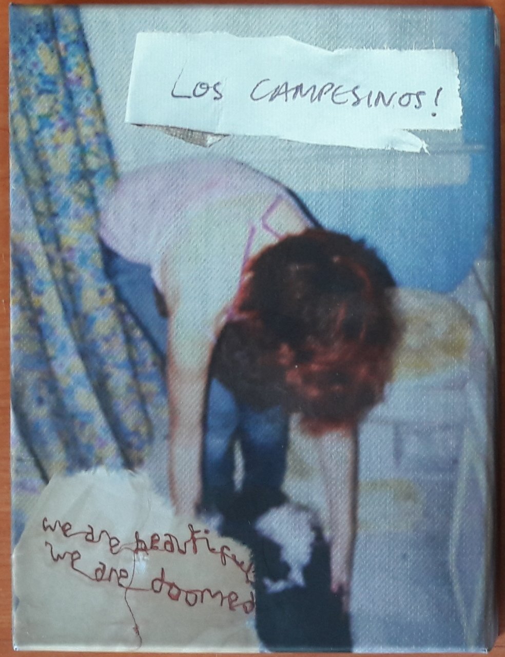 LOS CAMPESINOS! - WE ARE BEAUTIFUL WE ARE DOOMED (2008) - 2DVD 2.EL