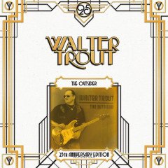 WALTER TROUT - THE OUTSIDER (2008) - 2LP PLAK SIFIR
