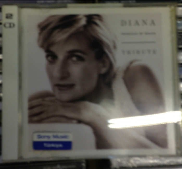 TRIBUTE TO PRINCESS DIANA CD QUEEN RED HOT FERRY