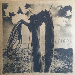 FEAR FALLS BURNING - FUNCTION COLLAPSE (2019) - LP SIFIR PLAK