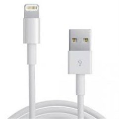 Apple iPhone Lightning - USB Kablosu (1 m)