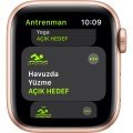 Apple Watch SE 40mm GPS Gold Alüminyum Kasa ve Kum Pembesi Spor Kordon (Apple  Türkiye Garantili)