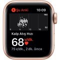 Apple Watch SE 40mm GPS Gold Alüminyum Kasa ve Kum Pembesi Spor Kordon (Apple  Türkiye Garantili)