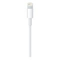 Apple Lightning (1m) USB Kablo