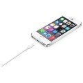 Apple Lightning (1m) USB Kablo