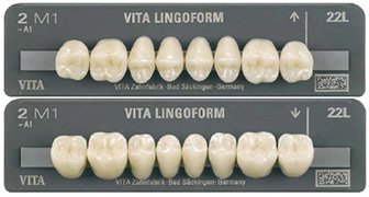 Vitapan Takım Diş 28'lik Klasik (B2-B3-B4)