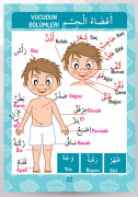 Arapça Resimli Kartela