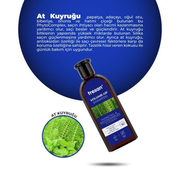 At Kuyruğu & Phytocomplex Hacimlendirici Bakım Şampuanı 300 ml X 2 Adet 86976239021435