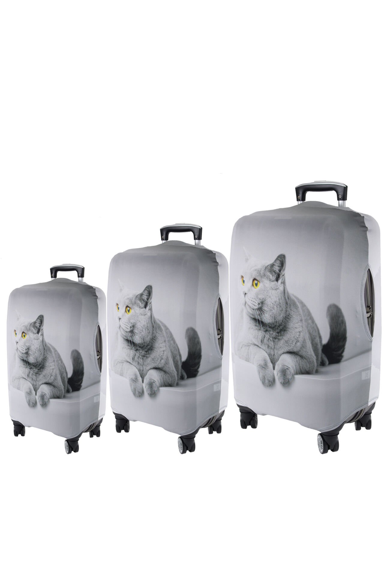 My77 Gri Kedi VALİZ KILIFI / BAVUL KORUYUCU ÖRTÜSÜ Büyük, Orta, Kabin Boy Set