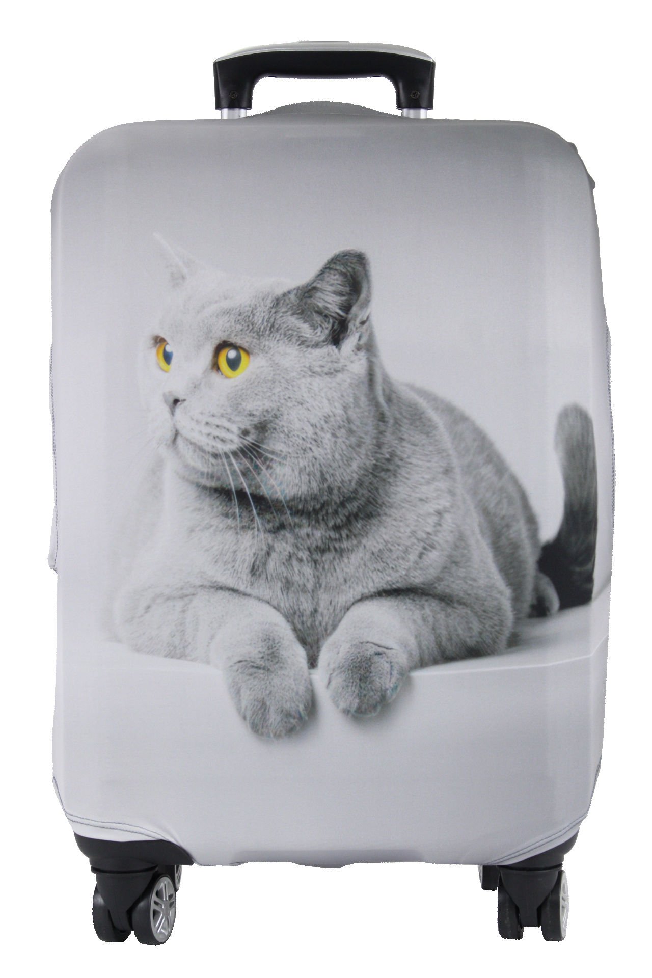 (My#77 Gri Kedi) VALİZ İÇİN KILIF