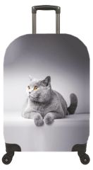 (My#77 Gri Kedi) VALİZ İÇİN KILIF