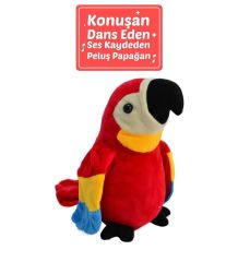 25 CM KONUŞULANI TEKRARLAYAN PAPAĞAN -HLY