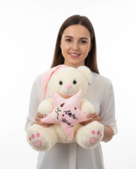 62907 PELUŞ 35CM YILDIZ YASTIKLI AYI -HLY