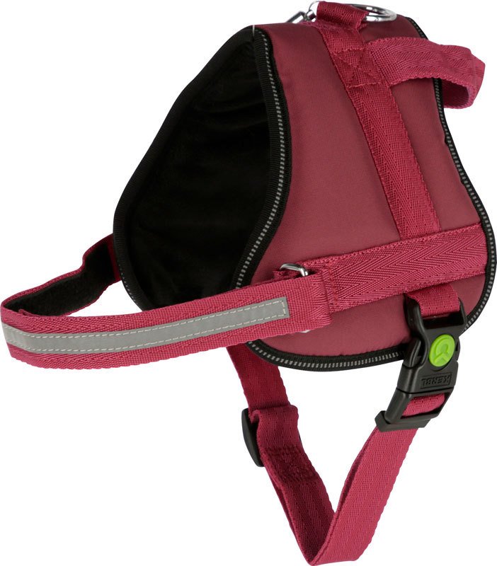 Köpek Belden Tasma Maestro 2.0 Bordo 72 - 103 cm