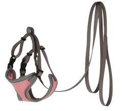 Kedi Gövde Tasması Mercan