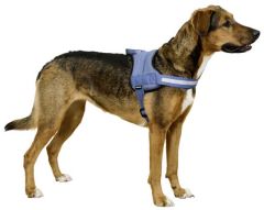 Belden Köpek Tasması Maestro 2.0 L 64-90 cm x 25 mm