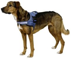 Belden Köpek Tasması Maestro 2.0 L 64-90 cm x 25 mm