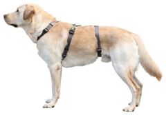 Köpek Sırt Tasması Kaçış Önleyici  64cm - 100cm