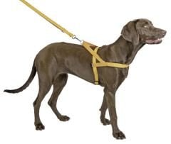 Göğüs Tasması Reflektörlü 65 - 85 cm