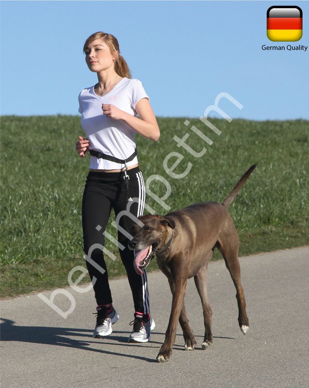 Köpek Koşu Tasması Active