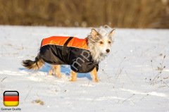 Köpek Kışlık Kıyafet Sölden