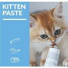 Gimcat Kitten Paste Yavru Kediler İçin Vitamin Macunu 50 gr
