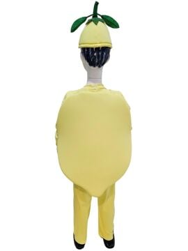 Limon Kostümü