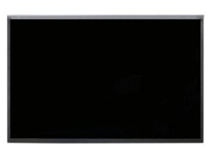 19.5'' LCD Panel, MV195WGM-N10