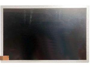 10.1'' LCD Ekran,  EV101WXM-N80