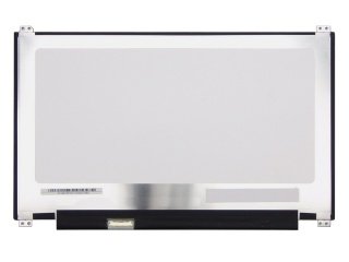 13.3'' LCD Panel, N133HCE-EN1 (CMN1372)