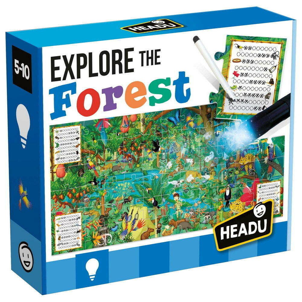Explore the Forest