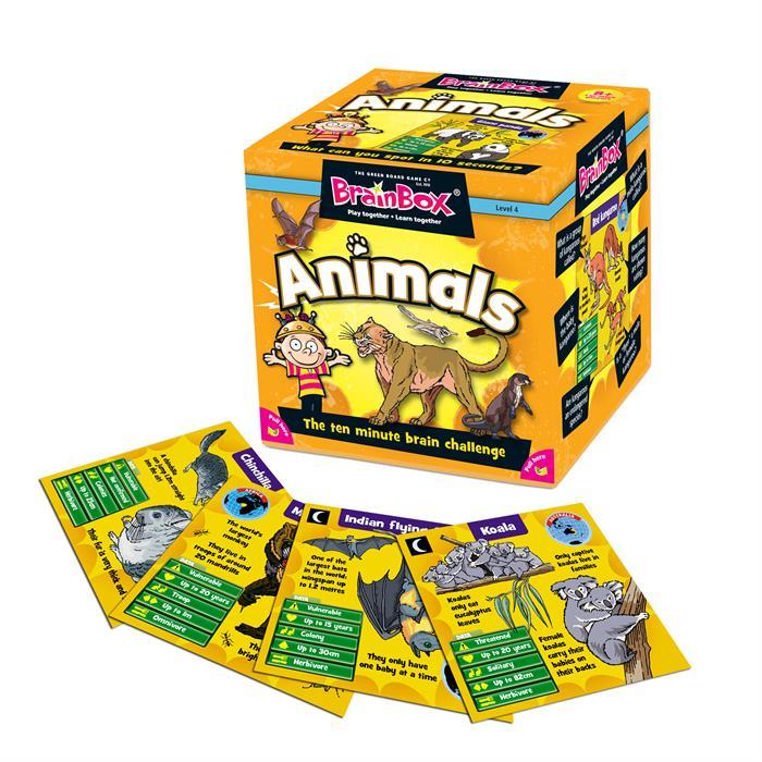 BrainBox Hayvanlar (Animals) - İNGİLİZCE