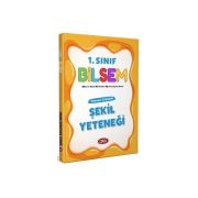 Data Yayınları 1. Sınıf Bilsem Çözümlü Şekil Yeteneği