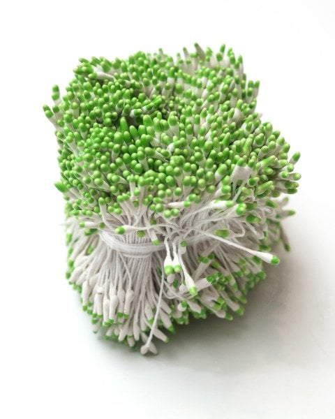 Çift Renk Plastik Tohum - F. Yeşil (20'li Bağ)