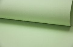 İthal Elma Yeşili Fon Kartonu - 160 gr. 50*70 cm