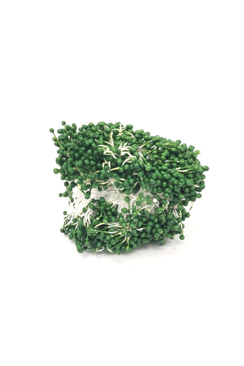 Klasik Plastik Tohum 20'li Bağ - Koyu Yeşil