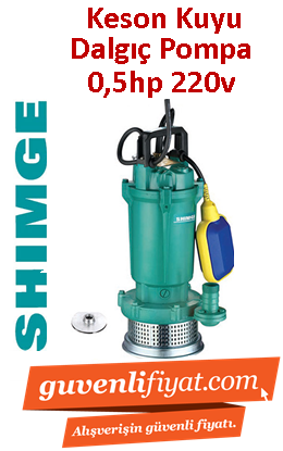 SHIMGE QDX15-17-0.37K1 0.5HP 220V Döküm Gövdeli Keson Kuyu Dalgıç Pompa